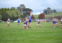 Hawks claim impressive scalp