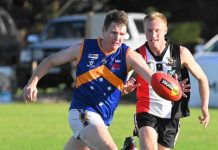 Cougars back on the board