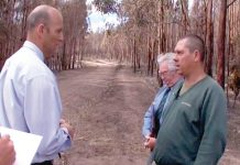 Black Saturday arsonist released and dangerous driver pleads guilty