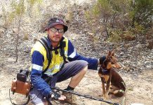 Prospective forest future