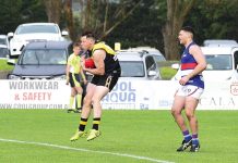 Dogs season stopped by Tiger train