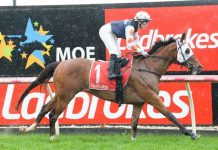 No catching Keats in the Moe Cup