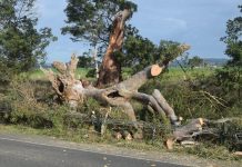 Storm-affected areas to receive extended funding