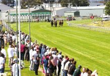 Derby Day meeting at Glenview Park