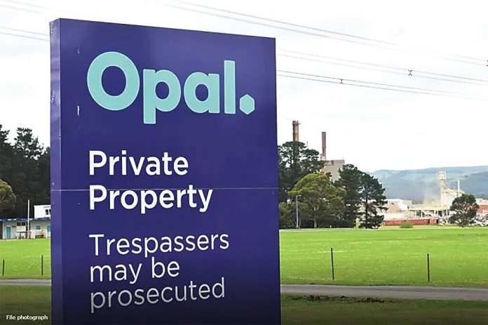 Opal facing financial issues after supply loss | Latrobe Valley Express