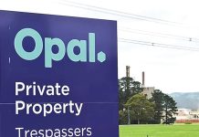 Opal facing financial issues after supply loss