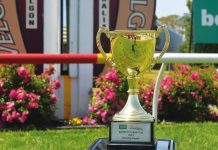 Greatest show on turf incoming