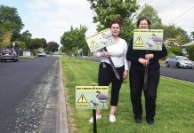 Motorists warned to keep an eye out for birds