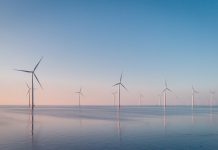 Star of the South project updated