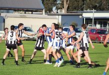 Roos set to cruise, Tigers get it tough