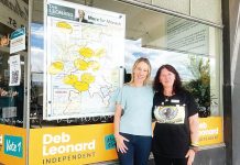 Bridging gaps for mental health services