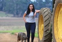 Germano’s reign finishes up at VFF