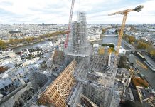 France’s timber lesson