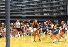 Gippsland Showcase: A shining light