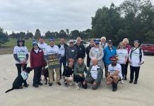 Much more than A Walk in the Park