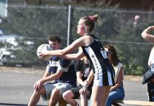 Action returns to the courts