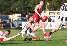 Magpies prove they will be up for fight