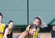 Cougars prove credentials