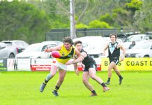 Tigers train full steam ahead