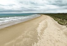 Marinus Link to go ahead