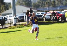 Tigers mauled, Lions bounce back