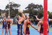 Bulldogs, Roogirls showdown setup