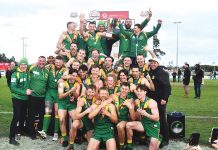 Parrots again flap their golden wings