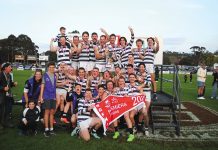 Wildcats wonderful yet again, scoreboard gaffe in thirds decider