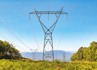 Energy mix critical: Page Research Centre