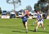 North Gippy Grand Final rematch awaits