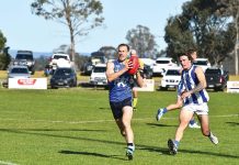 North Gippy Grand Final rematch awaits