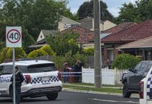 Gunshot on Elgin Street