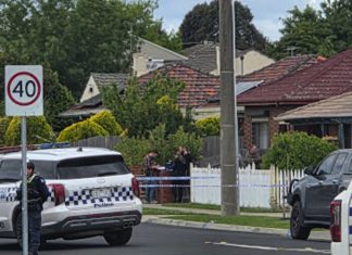 Gunshot on Elgin Street