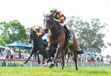 Derby day meeting sunshine