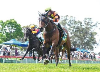 Derby day meeting sunshine