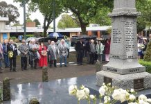 Region pauses for Remembrance Day