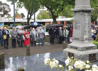 Region pauses for Remembrance Day