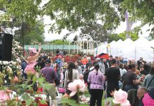 Roses are red, crowd not left feeling blue