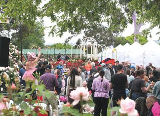 Roses are red, crowd not left feeling blue