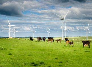 Energy hubs here to help