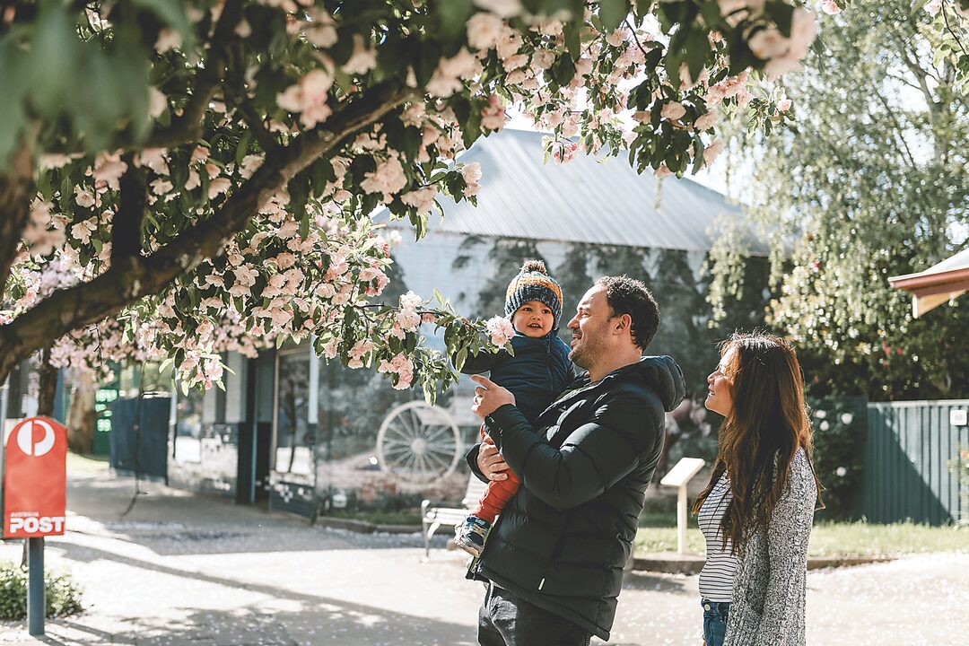 mirboonorth2021websi_20417