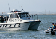 Bath debates fishy business