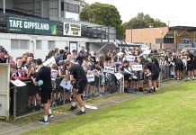 Magpie army invades Morwell