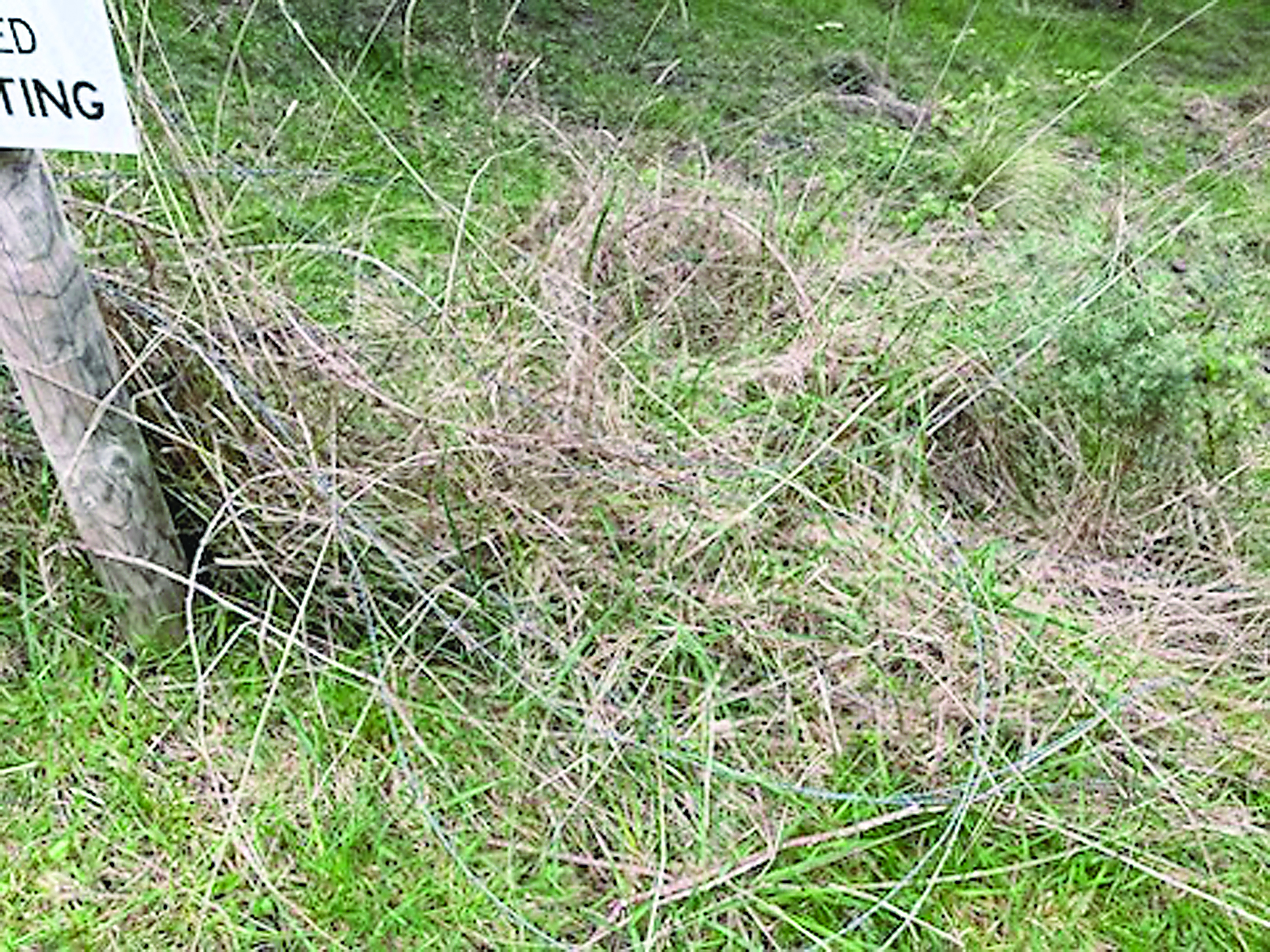 IMG_20251205_102906_71683