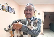 Outrage after pet cat mistakenly euthanised