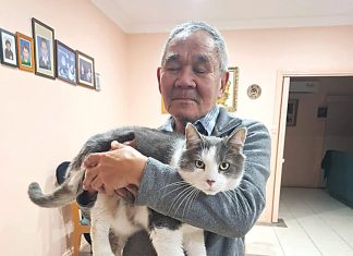 Outrage after pet cat mistakenly euthanised