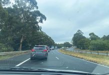 Not your average morning commute