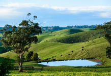 Managing and treating dams in fire affected areas