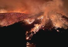 Fire fury: Victoria declared a State of Disaster