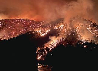 Fire fury: Victoria declared a State of Disaster